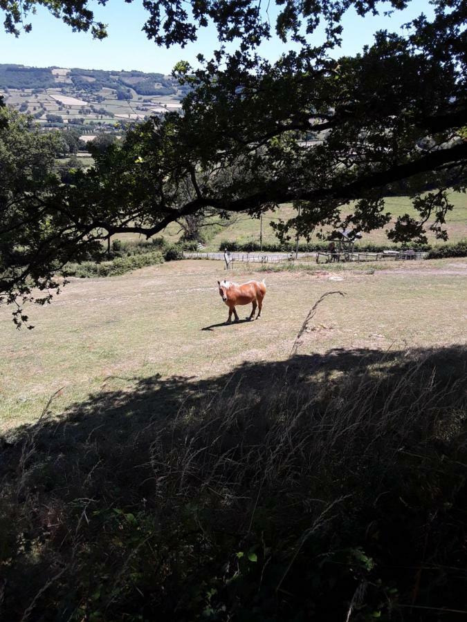 Village.Insolite Montagny-sur-Grosne Dış mekan fotoğraf